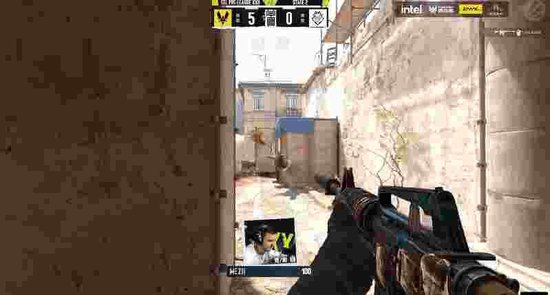 EPL S22第二階段：蜜蜂浴火重生！Vitality 2