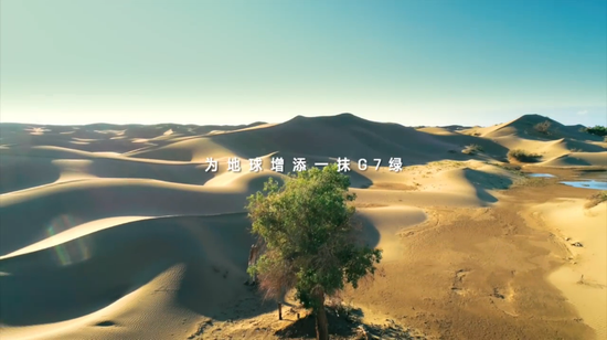 图源 | 中国绿化基金会