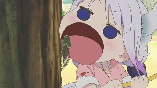 &nbsp; 图片为《小林家的龙女仆》截图