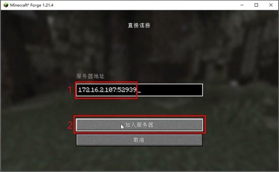 填写虚拟IP:端口后加入服务器