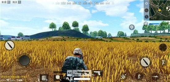 《绝地求生 全军出击》麦田和植被的感觉十分精细
