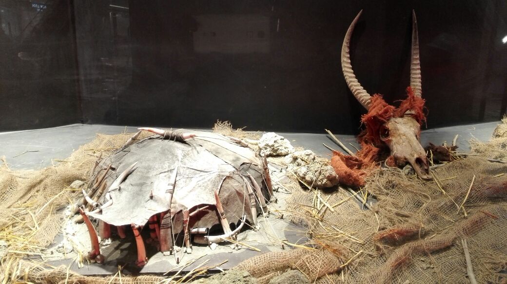 魔兽电影原版服装道具抢先看