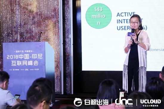 印尼本地投资基金 DNC 合伙人 Irene 介绍印尼市场