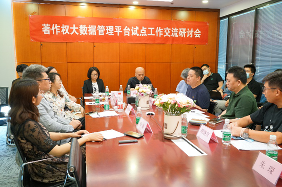 “著作权大数据管理平台”试点工作交流研讨会 现场