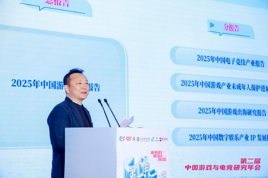 北京师范大学艺术与传媒学院教授、中国音数协游戏专委会副主任委员&nbsp;何威