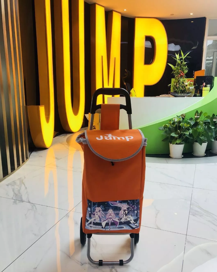 图为漫展扫货必备——300娘小推车