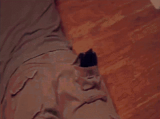 请守护G胖的微笑—_,—