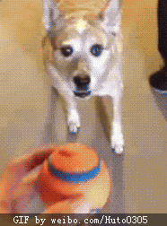 草啊！谁把地板打蜡了！