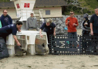 “你看 你身后一堆单身狗哎！”