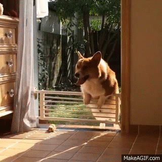 你们网速不行，画面出现卡帧