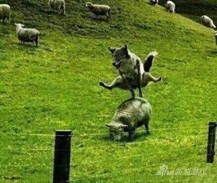 完成了跳山羊的壮举!