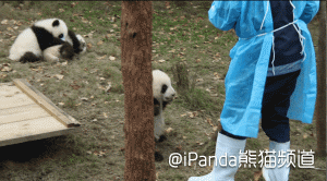 哦不，是你的饲养员