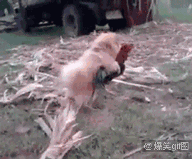 非礼，救命啊，快帮我报警！！！