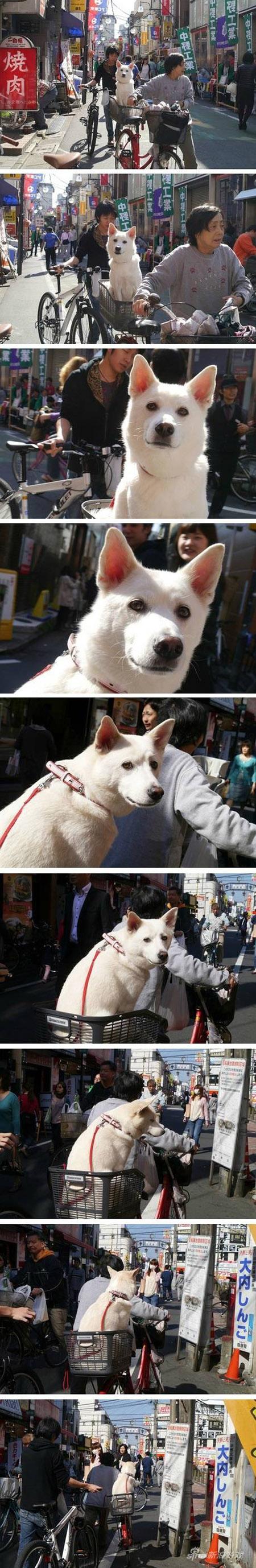 这种怦然心动的镜头感是怎么回事……