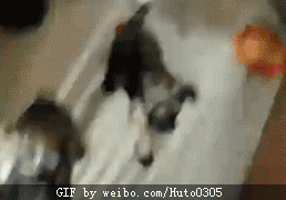 萌都是我卖的！