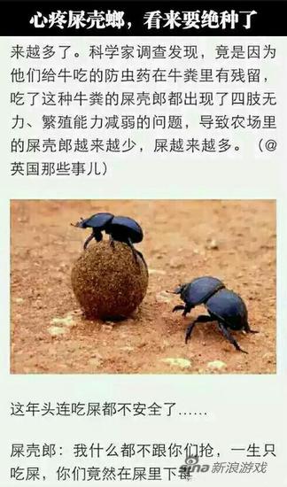 屎壳郎怒而洗点，变更科技树，以后不吃屎而是把屎推到人类家门口！