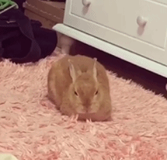 不行了！眼睛和身体不听使唤了！