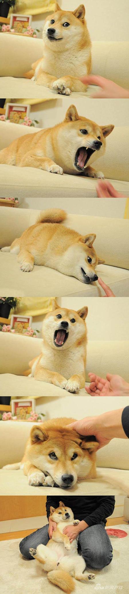 这才是完整的图