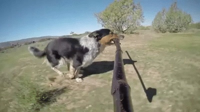 为什么会觉得那纵身一跃有点儿帅……