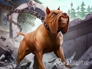 狂犬病死亡率100%