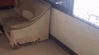 说了你可能不相信，当时沙发它……