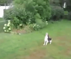 难不成是斜眼了！