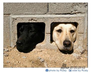 你也闹天宫了？