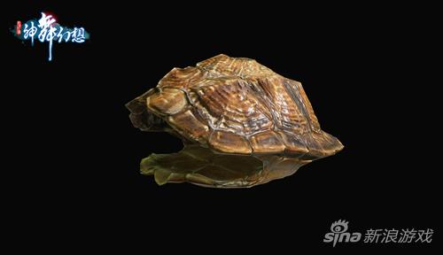 游戏物件之：占卜龟甲