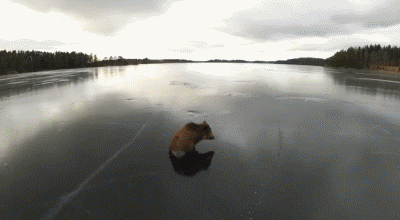 经过多次投胎，天蓬元帅的水性已经大不如前了