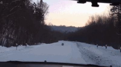 老司机，带带我哇，别走哇！