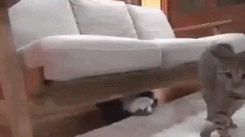 大哥，你的车修好了