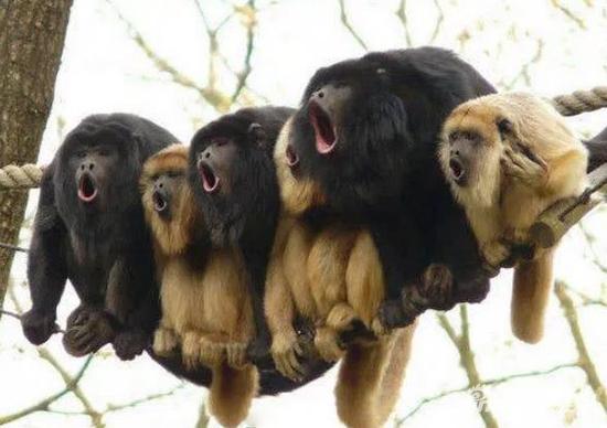 哦哦哦哦哦哦哦哦哦哦哦哦哦哦哦哦哦哦哦