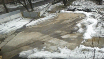 看来藤原拓海已经到了服兵役的年龄了