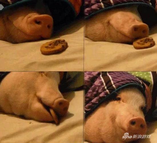 你还吃？都吃成猪了还吃？