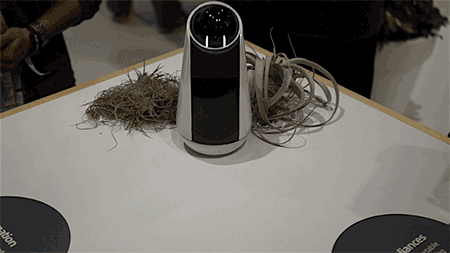 450_253gif 动态图 动图