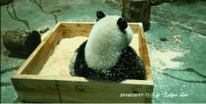 天妇罗也是这么做的！