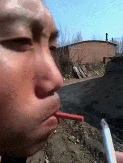 无论如何，都是智障……