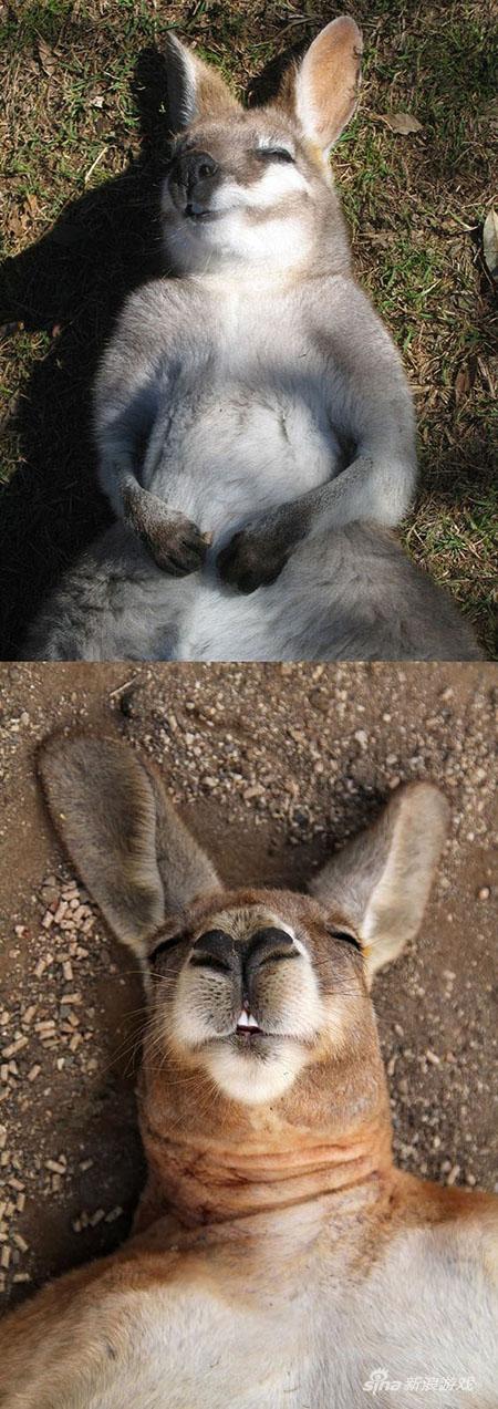 来吧，不要因为我是娇花而怜惜我！