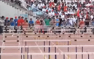 哪里来的逗比！