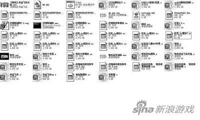 刘某某电脑里用来实施诈骗的所谓源码。