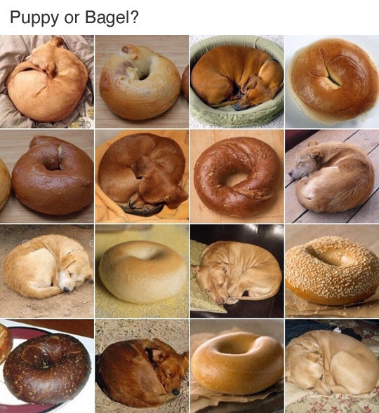 12306：请从下图中找出所有的百吉饼