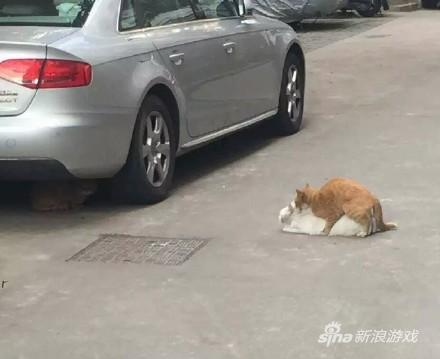 后来写了一首歌还红了