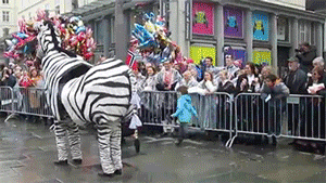 300_169gif 动态图 动图