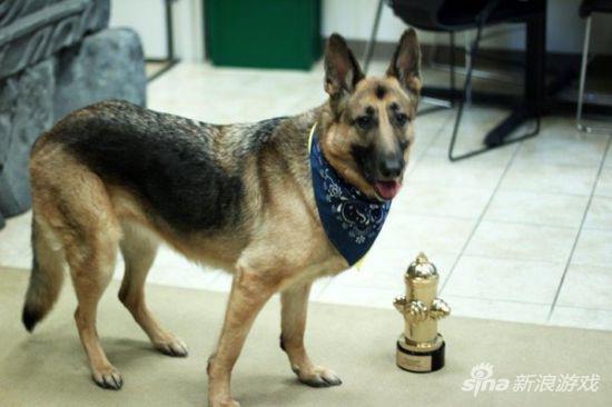 《辐射4》的狗肉