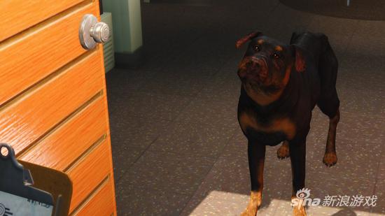 罗纳威犬（GTA5的小查！）