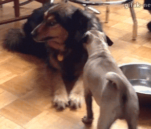 顺便给你表演个托马斯