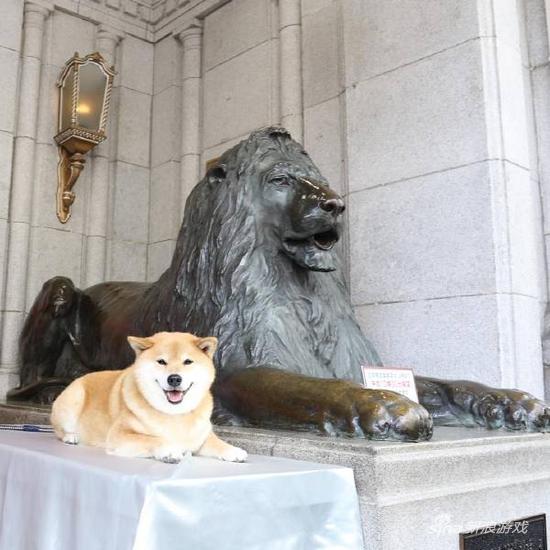 新来的上班严肃点！