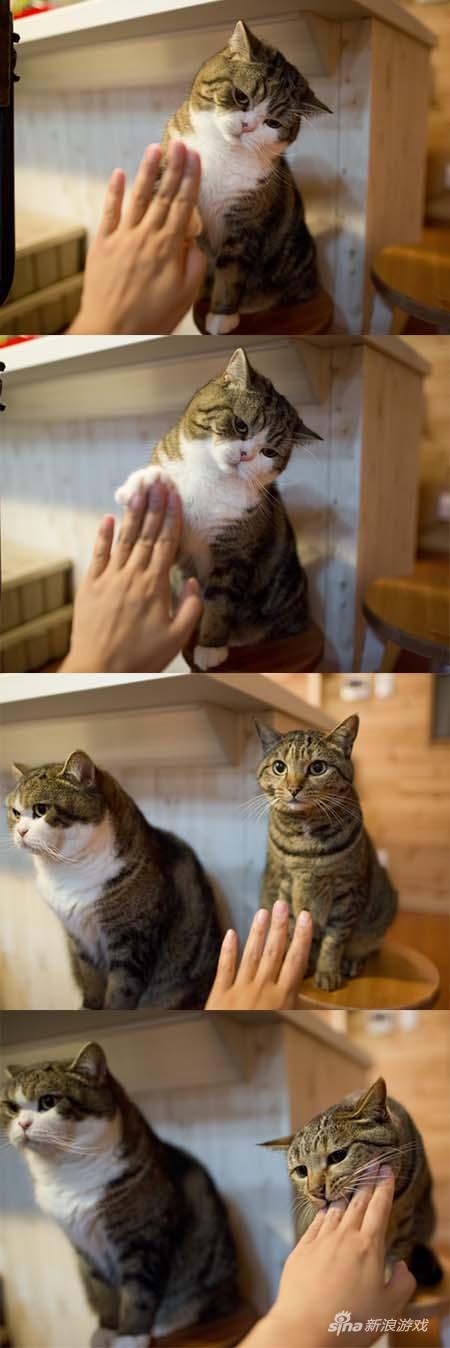 文艺青年与二逼青年