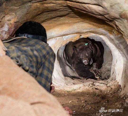 滚开，我这里已经没有小金人了