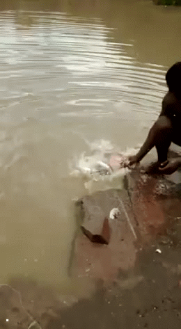 我们钓鱼是正常游戏，他们钓鱼就像是私服